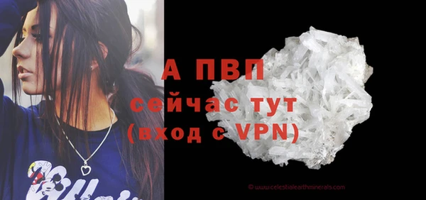 сатива Чита
