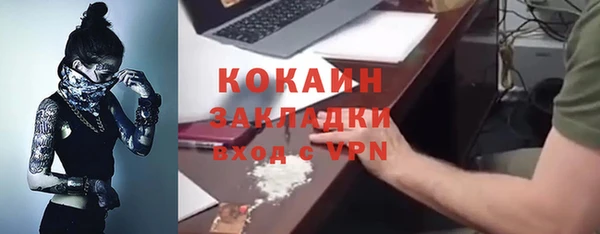 сатива Чита