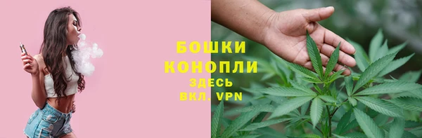 сатива Чита