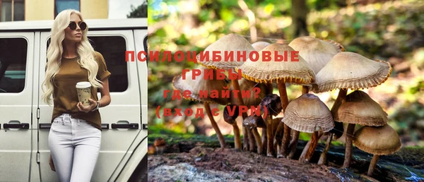 скорость Нижний Тагил