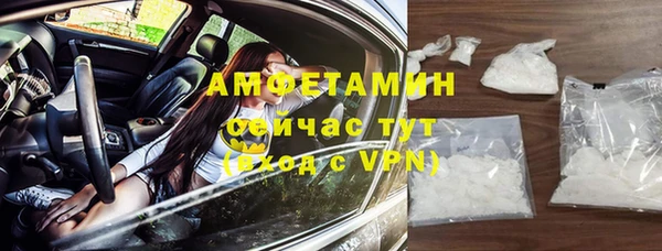 сатива Чита