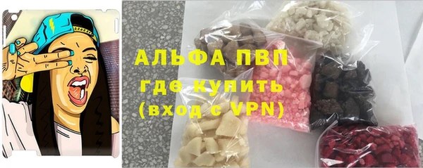 сатива Чита