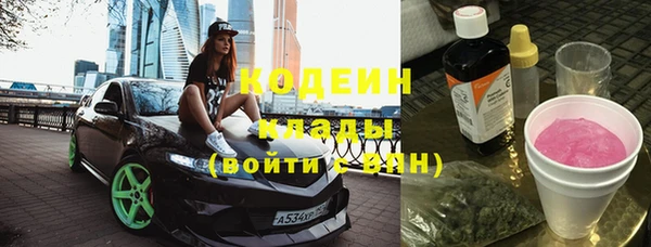 сатива Чита