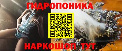 сатива Аргун