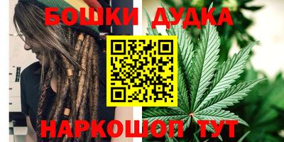 сатива Аргун