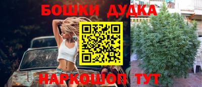 МДПВ Будённовск